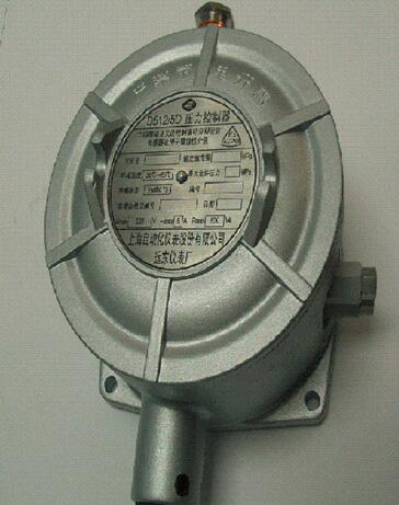 D512/5D防爆压力控制器 上海远东仪表厂
